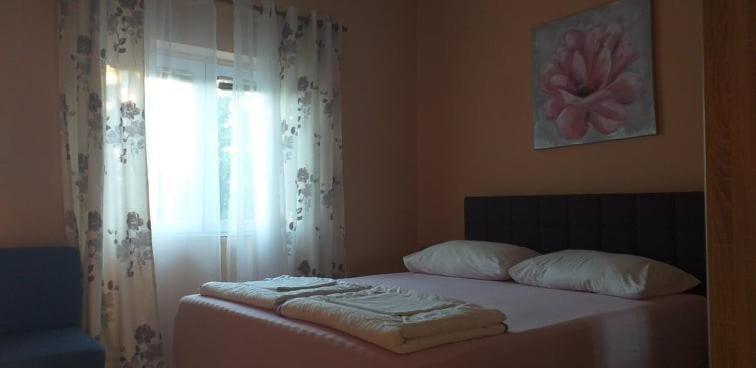 Golic Biograd Na Moru
